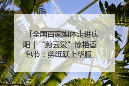 全国百家媒体走进庆阳｜“剪云裳”惊艳香包节：剪纸跃上华服 非遗焕发新彩