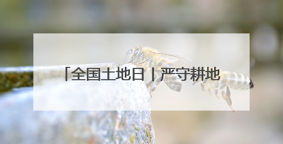 全国土地日丨严守耕地红线！田长这样说→