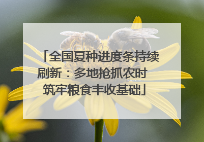 全国夏种进度条持续刷新：多地抢抓农时 筑牢粮食丰收基础