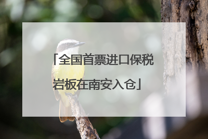 全国首票进口保税岩板在南安入仓