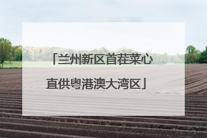 兰州新区首茬菜心直供粤港澳大湾区