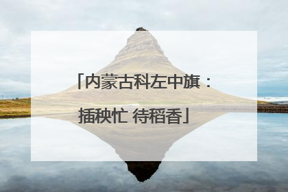 内蒙古科左中旗：插秧忙 待稻香