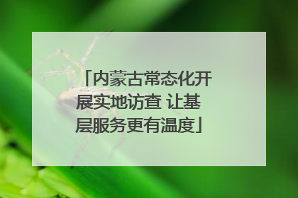 内蒙古常态化开展实地访查 让基层服务更有温度