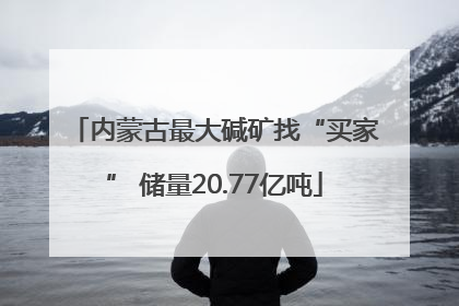 内蒙古最大碱矿找“买家” 储量20.77亿吨