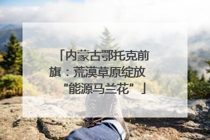 内蒙古鄂托克前旗：荒漠草原绽放“能源马兰花”
