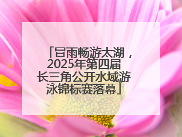 冒雨畅游太湖，2025年第四届长三角公开水域游泳锦标赛落幕