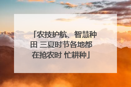农技护航、智慧种田 三夏时节各地都在抢农时 忙耕种