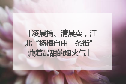 凌晨摘、清晨卖，江北“杨梅自由一条街”藏着最甜的烟火气