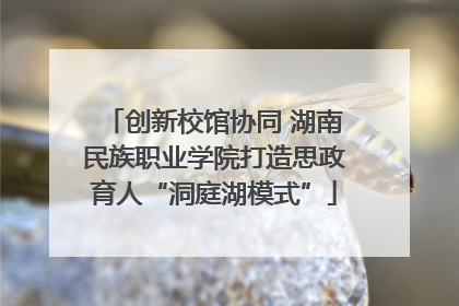 创新校馆协同 湖南民族职业学院打造思政育人“洞庭湖模式”