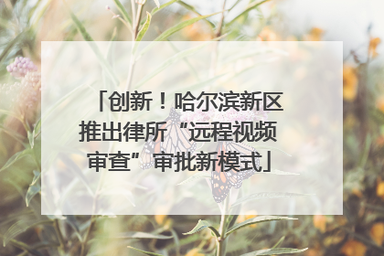 创新！哈尔滨新区推出律所“远程视频审查”审批新模式