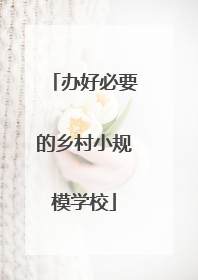 办好必要的乡村小规模学校