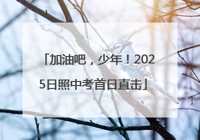 加油吧，少年！2025日照中考首日直击