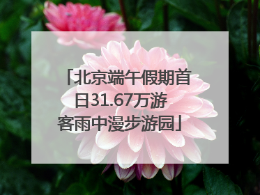 北京端午假期首日31.67万游客雨中漫步游园
