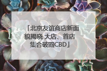 北京友谊商店新面貌揭晓 大店、首店集合破圈CBD