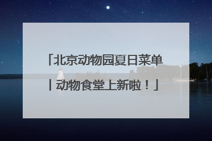 北京动物园夏日菜单丨动物食堂上新啦！