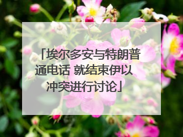 埃尔多安与特朗普通电话 就结束伊以冲突进行讨论