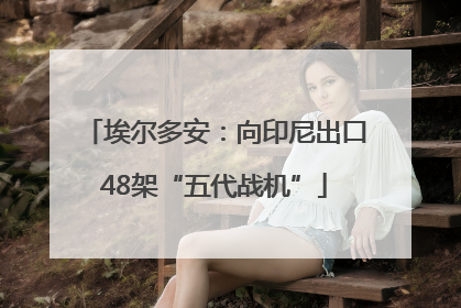 埃尔多安：向印尼出口48架“五代战机”