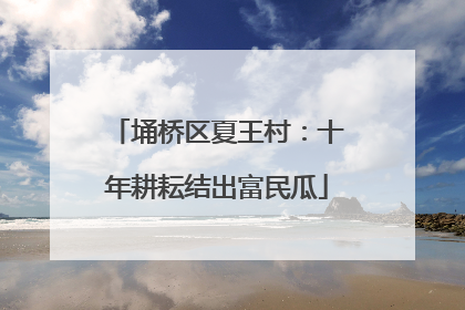 埇桥区夏王村：十年耕耘结出富民瓜