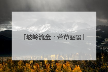 坡岭流金：萱草图景