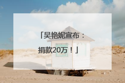 吴艳妮宣布：捐款20万！