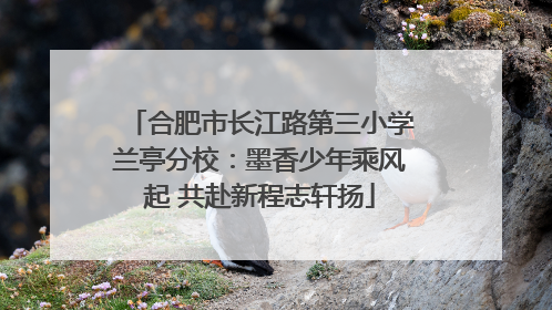 合肥市长江路第三小学兰亭分校：墨香少年乘风起 共赴新程志轩扬