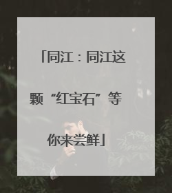 同江：同江这颗“红宝石”等你来尝鲜