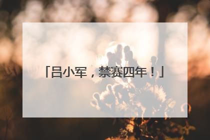 吕小军，禁赛四年！
