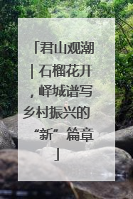君山观潮｜石榴花开，峄城谱写乡村振兴的“新”篇章