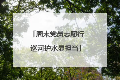 周末党员志愿行 巡河护水显担当