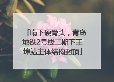 啃下硬骨头，青岛地铁2号线二期下王埠站主体结构封顶