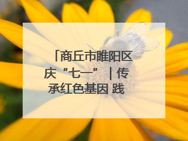 商丘市睢阳区庆“七一”｜传承红色基因 践行初心使命