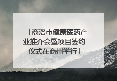 商洛市健康医药产业推介会暨项目签约仪式在商州举行
