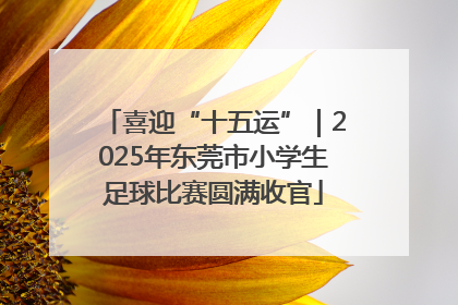 喜迎“十五运”｜2025年东莞市小学生足球比赛圆满收官