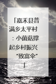 嘉禾县普满乡太平村：小菌菇撑起乡村振兴“致富伞”