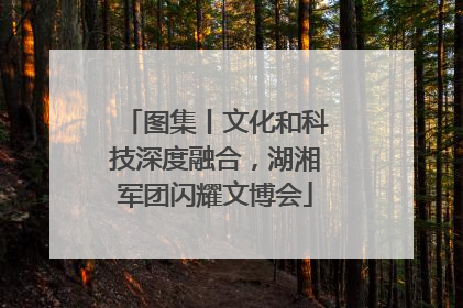 图集丨文化和科技深度融合，湖湘军团闪耀文博会