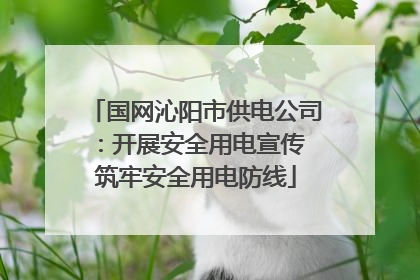 国网沁阳市供电公司：开展安全用电宣传 筑牢安全用电防线