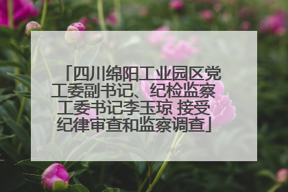 四川绵阳工业园区党工委副书记、纪检监察工委书记李玉琼 接受纪律审查和监察调查