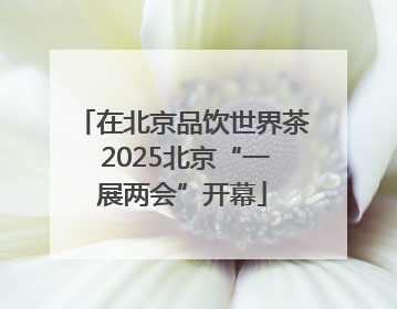 在北京品饮世界茶 2025北京“一展两会”开幕