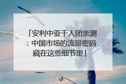 安利中亚千人团亲测：中国市场的流量密码 藏在这些细节里