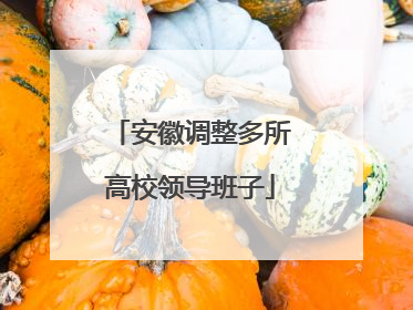 安徽调整多所高校领导班子