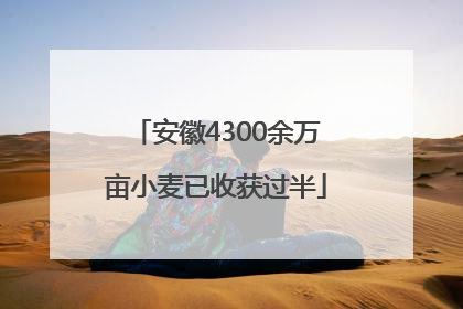 安徽4300余万亩小麦已收获过半