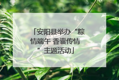 安阳县举办“粽情端午 香囊传情”主题活动
