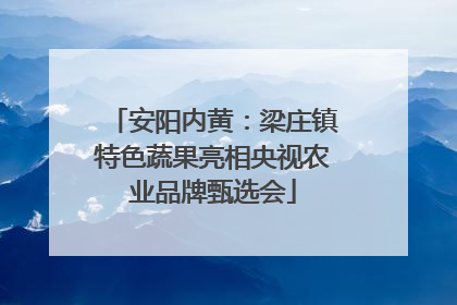 安阳内黄：梁庄镇特色蔬果亮相央视农业品牌甄选会