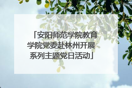 安阳师范学院教育学院党委赴林州开展系列主题党日活动