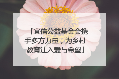 宜信公益基金会携手多方力量，为乡村教育注入爱与希望