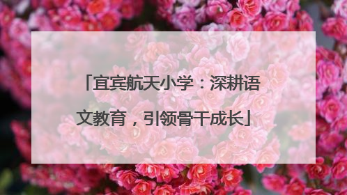 宜宾航天小学：深耕语文教育，引领骨干成长