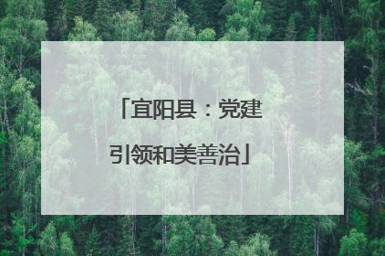 宜阳县：党建引领和美善治