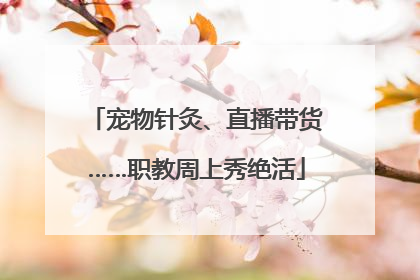 宠物针灸、直播带货……职教周上秀绝活