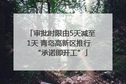审批时限由5天减至1天 青岛高新区推行“承诺即开工”