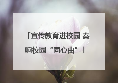 宣传教育进校园 奏响校园“同心曲”
